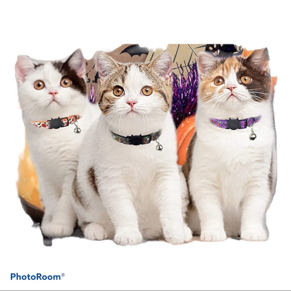 🎃 New! Cute Halloween Cat Collars‎